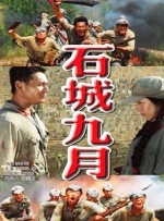 岳母的简介